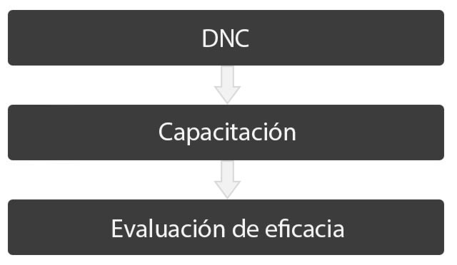 Detección de necesidades de capacitación (DNC) -> Capacitación -> Evaluación de eficacia 