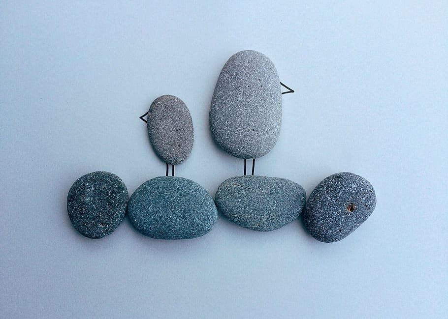 birds-beach-coast-rock